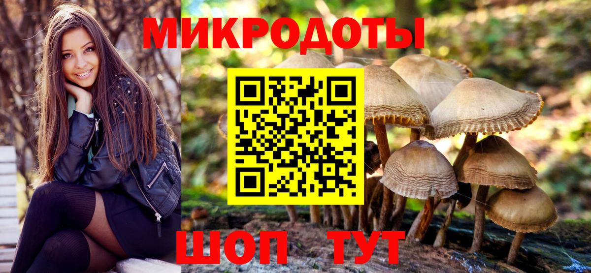 Галлюциногенные грибы Cubensis Кировск