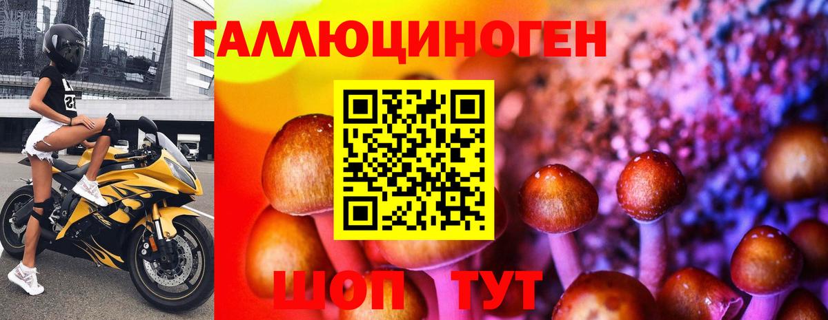Галлюциногенные грибы Psilocybe  Вход с VPN  Галлюциногенные грибы Magic Shrooms  Кировск 